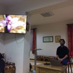 Kocaeli florasına genel bir bakış